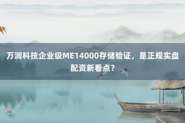 万润科技企业级ME14000存储验证，是正规实盘配资新看点？