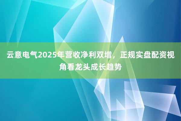 云意电气2025年营收净利双增，正规实盘配资视角看龙头成长趋势