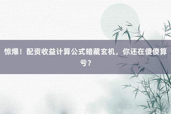 惊爆！配资收益计算公式暗藏玄机，你还在傻傻算亏？