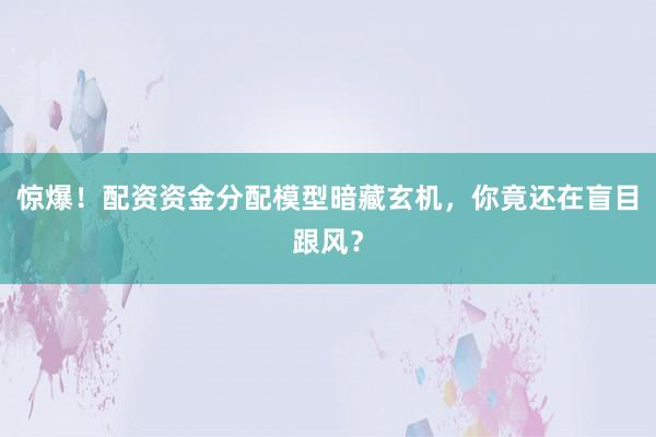 惊爆！配资资金分配模型暗藏玄机，你竟还在盲目跟风？