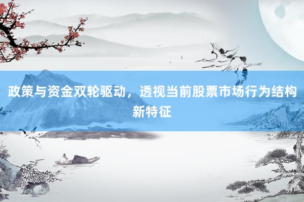 政策与资金双轮驱动，透视当前股票市场行为结构新特征