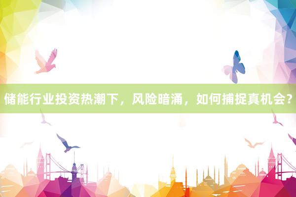 储能行业投资热潮下，风险暗涌，如何捕捉真机会？