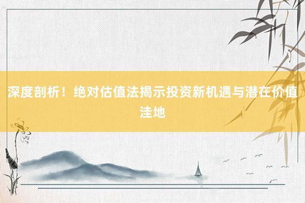 深度剖析！绝对估值法揭示投资新机遇与潜在价值洼地