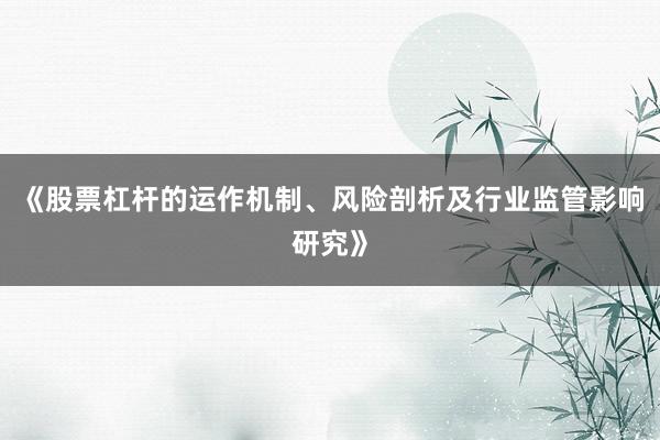 《股票杠杆的运作机制、风险剖析及行业监管影响研究》
