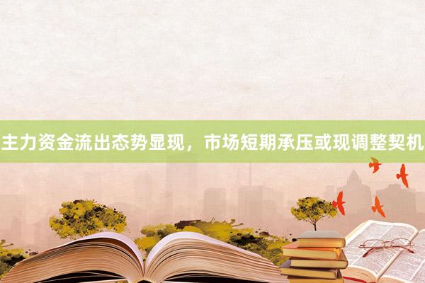 主力资金流出态势显现，市场短期承压或现调整契机