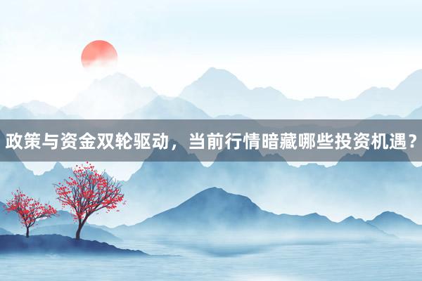 政策与资金双轮驱动，当前行情暗藏哪些投资机遇？