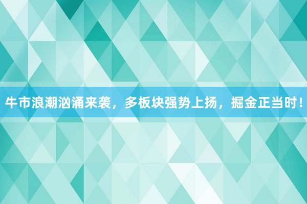 牛市浪潮汹涌来袭，多板块强势上扬，掘金正当时！