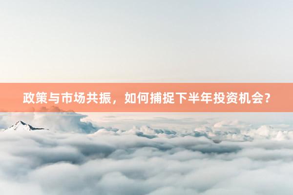 政策与市场共振，如何捕捉下半年投资机会？