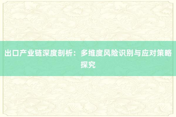 出口产业链深度剖析：多维度风险识别与应对策略探究