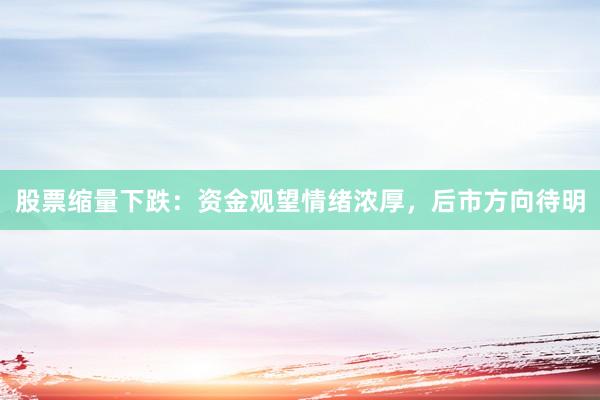 股票缩量下跌：资金观望情绪浓厚，后市方向待明