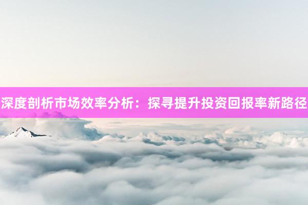 深度剖析市场效率分析：探寻提升投资回报率新路径