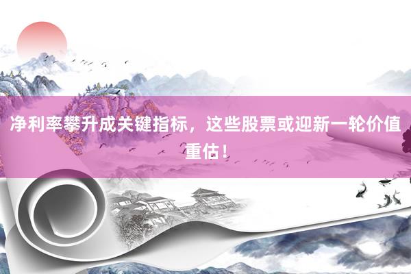 净利率攀升成关键指标，这些股票或迎新一轮价值重估！