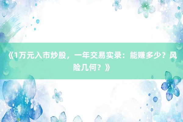 《1万元入市炒股，一年交易实录：能赚多少？风险几何？》