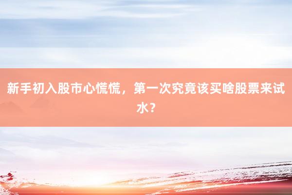 新手初入股市心慌慌，第一次究竟该买啥股票来试水？