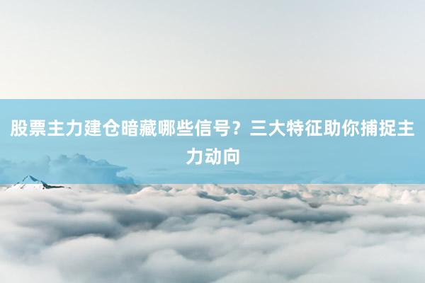 股票主力建仓暗藏哪些信号？三大特征助你捕捉主力动向
