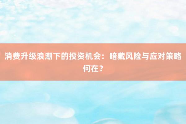 消费升级浪潮下的投资机会：暗藏风险与应对策略何在？