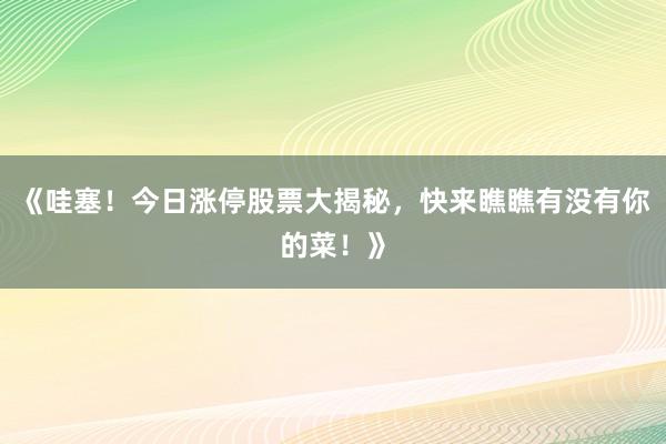 《哇塞！今日涨停股票大揭秘，快来瞧瞧有没有你的菜！》