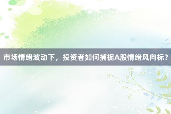 市场情绪波动下，投资者如何捕捉A股情绪风向标？