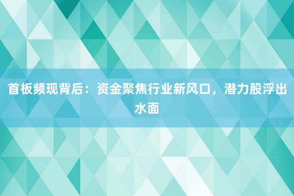 首板频现背后：资金聚焦行业新风口，潜力股浮出水面