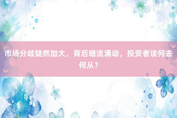 市场分歧陡然加大，背后暗流涌动，投资者该何去何从？