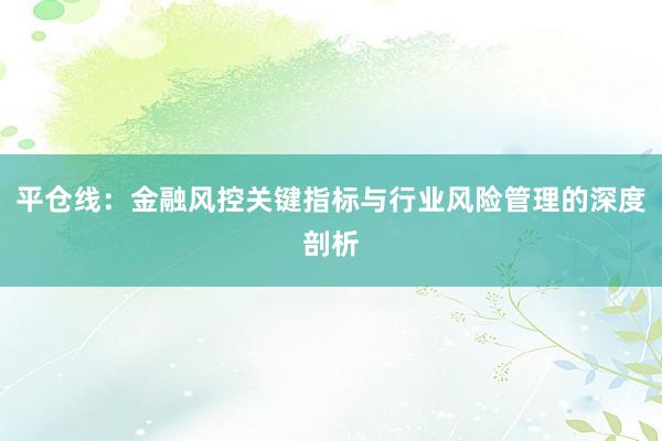 平仓线：金融风控关键指标与行业风险管理的深度剖析
